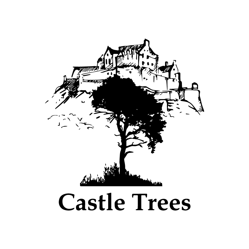 Veteran-owned tree surgeons serving Edinburgh, West Lothian and Fife. Professional tree surgery, hedge cutting, stump grinding and emergency call-outs.